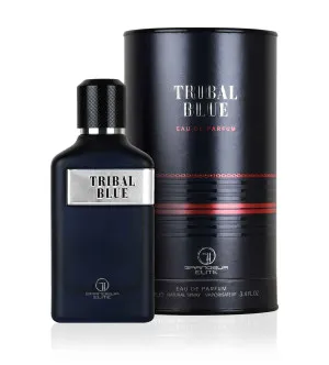 Grandeur Tribal Blue parfumovaná voda pre mužov 100 ml