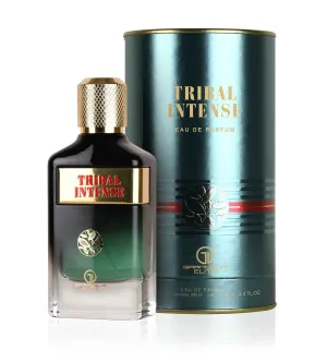Grandeur Tribal Intense parfumovaná voda pre mužov 100 ml