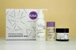 Kvitok Darčekový balíček Lavender Dream - sprcha, dezodorant a telový krém