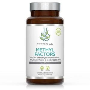 METHYL FACTORS - B1 betaín B2 B6 kyselina listová (L-metylfolát) vitamín B12 a zinok, 60 kapsúl